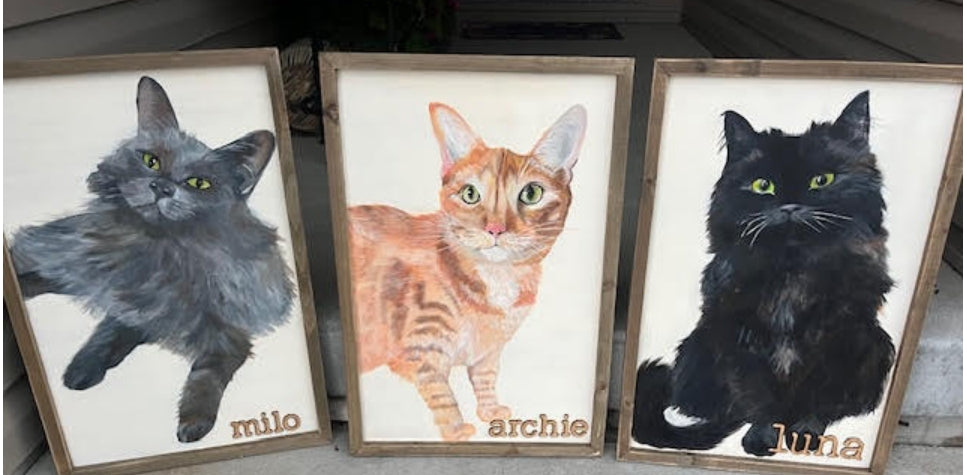 Pet Portraits