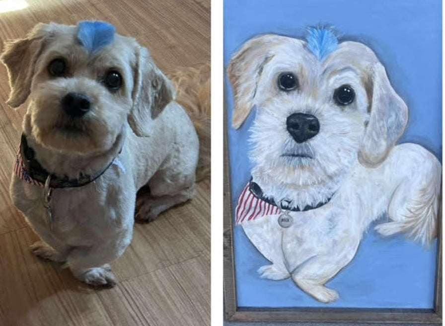 Pet Portraits
