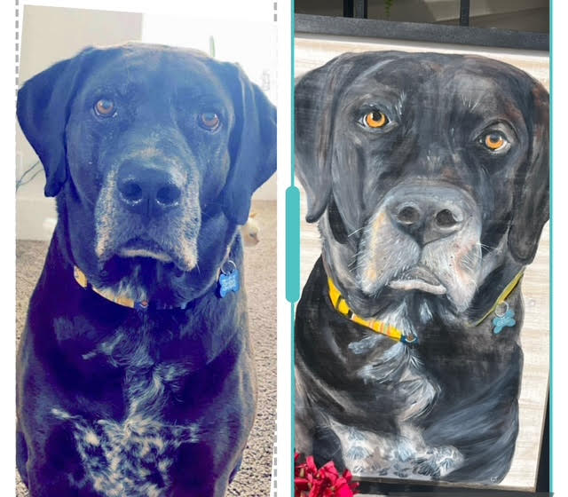 Pet Portraits