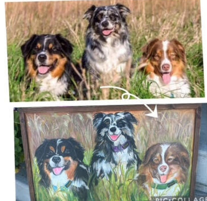 Pet Portraits