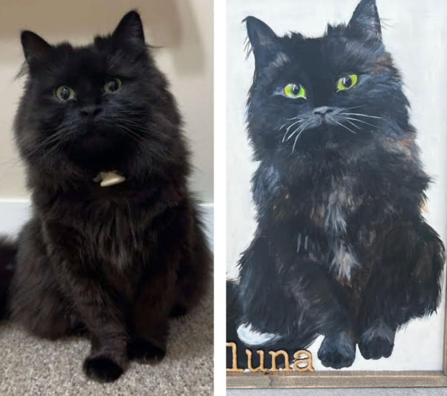 Pet Portraits