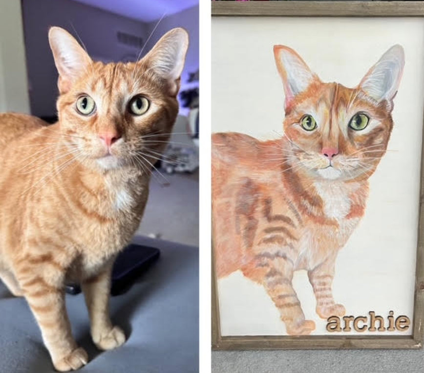 Pet Portraits