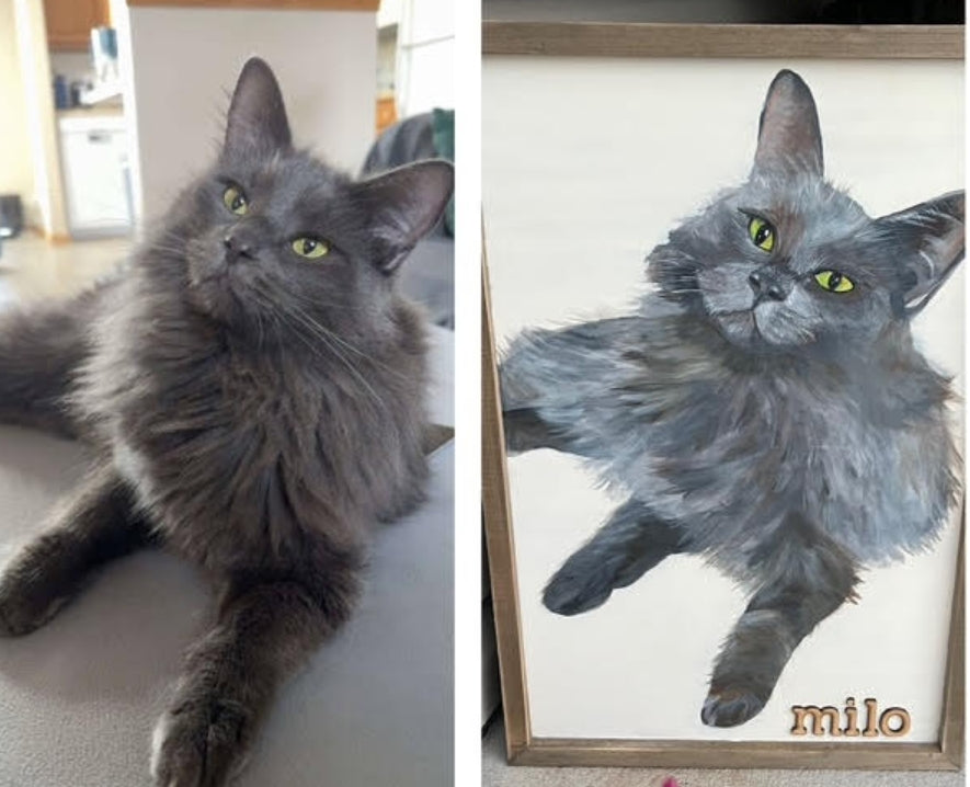Pet Portraits